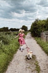 Alice in Corgiland